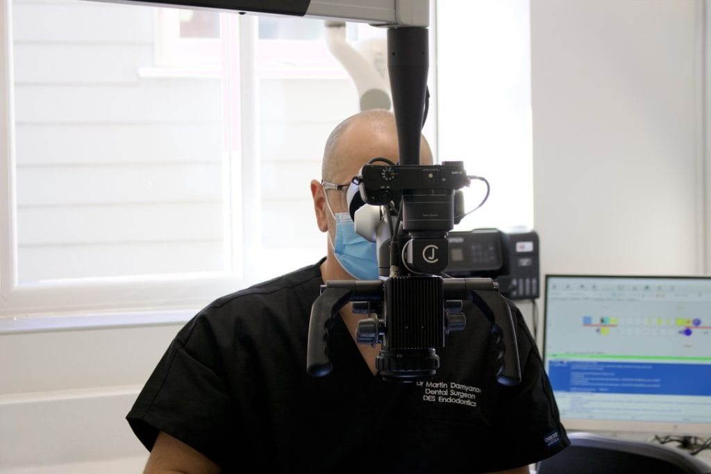 an image relating to the root canal page 